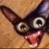 nathanstarnes - @ongodbabygirl69 - TikTok