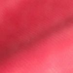 nathan staton - @nathanstaton10 - Instagram