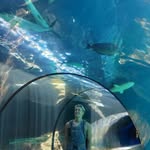 Nathan Steiner - @natesteiner_ - Instagram