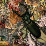 Nathan Stern - @textbook_botanical_animals - Instagram