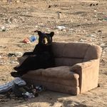 Nathan Stern - @zevstern - Instagram