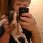 nathan stillwell - @nathan_stillwell - Instagram