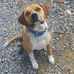 Nathan Stillwell - Facebook