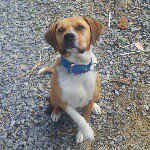 nathan stillwell - @nathaniel_james_stillwell - Instagram