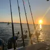 TheNathanStrawderman - @capefearfishingco - TikTok