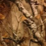 Nathan Streeter - @outdoors_is_life472 - Instagram