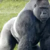 nathanberestreeter - @nathanberestreeter - TikTok