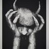 Nathan Stroh - @meatmetal - TikTok