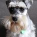 Nathan Stroud - Facebook
