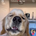 Nathan Stroud - @nathanstroud1 - Instagram