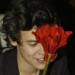 Nathan Styles - @styles.nathan - Instagram