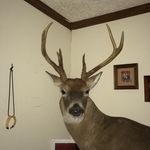 Nathan Sumner - @nathan_sumner02 - Instagram
