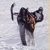 Nathan lundquist - @nathan.lundquist - TikTok