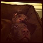 Nathan Swick - @deobelffreerufb710 - Instagram