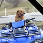 Nathan Swope - @nathan.swope.3 - Instagram