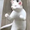 apaan - @nathantaii - TikTok