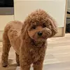 nathan_tai - @nathan_tai8 - TikTok