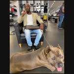 Nathan Tapper - @nathan_tapper - Instagram