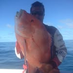 Nathan Tappert - @nathantappert - Instagram