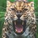 Nathan Teeters - Facebook