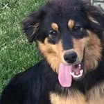 Nathaniel Tilson - @nathanieltilson - Instagram