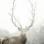 Nathan Timm - @nathan_timm - Instagram