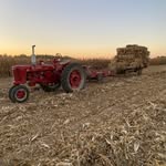 Nathan Timmerman - @nathan_timmerman_85 - Instagram