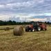 Stray Haven Farm by Nathan Timmons - Facebook