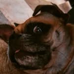 Nathan Tobin - @nathan.tobin.585 - Instagram