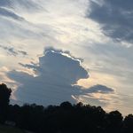 Nathan Tolbert - @nathan._.tolbert88 - Instagram