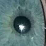 nathantorkelson - @nathantorkelson - Instagram