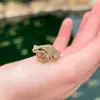 Tow.nathan.2.0 - @tow.nathan.2.0 - TikTok