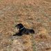Nathan Trapp - Facebook
