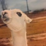 Nathan Trout - @juicewrldfan_2022 - Instagram