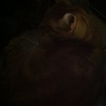 Nathan Troutman - @nathantroutman - Instagram