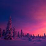 Nathan Tsung - @nathan.tsung - Instagram