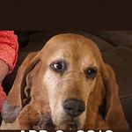 Nathan Varney - @nathan_varney - Instagram