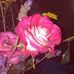 Nathan Vela - Facebook