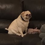 Nate.vnri - @nathan.venneri - Instagram