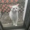 Nathan Venneman - @nathanvenneman47275 - TikTok