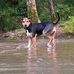 Nathan Vickers - Facebook