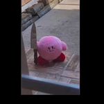 Nathan Vigil - @nathanvigil299 - Instagram