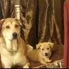 nathanvincent64 - @natetronus144 - TikTok