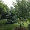 Nathan Vonk - @nathan.vonk - TikTok