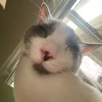 Nathan Waite - @slowasswagon - Instagram