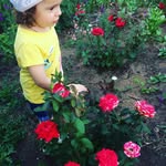 Nathan Walden - @nathanwalden47 - Instagram