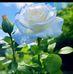 Nathan Warwick - Facebook