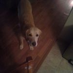 nathan waugh - @dez_meme - Instagram