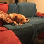 Nathan Waugh - @nathanmwaugh - Instagram