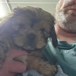 Nathan Waugh - @waugh.nathan - Instagram